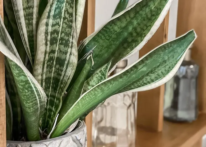 Hypnos Boutique (adults Only) 酒店 尼科西亚