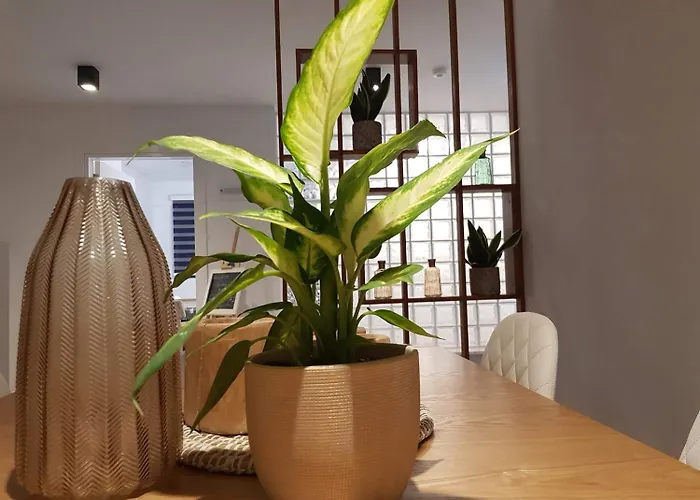 Hypnos Boutique (adults Only) 3* 尼科西亚