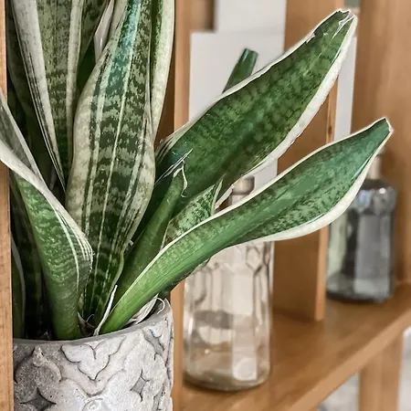 Hypnos Boutique (adults Only) Готель Нікосія